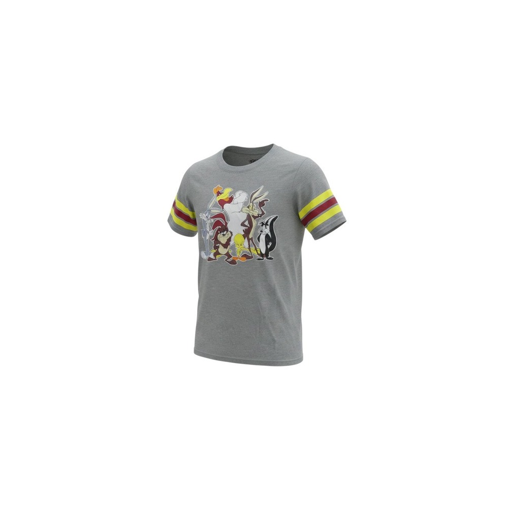 Looney Tunes Graphic T-Shirt Mens L Gray Characters Sleeve Stripes JT13739